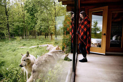 Chalet avec vue sur les loups au Parc Oméga