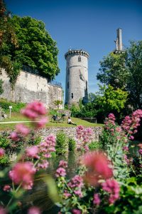 château de Mehun-sur-Yevre