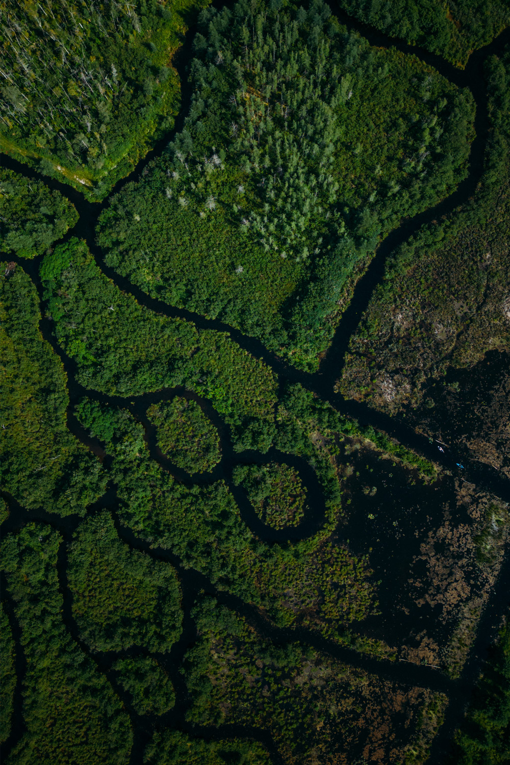 photo drone de Eco-Odyssée en Outaouais