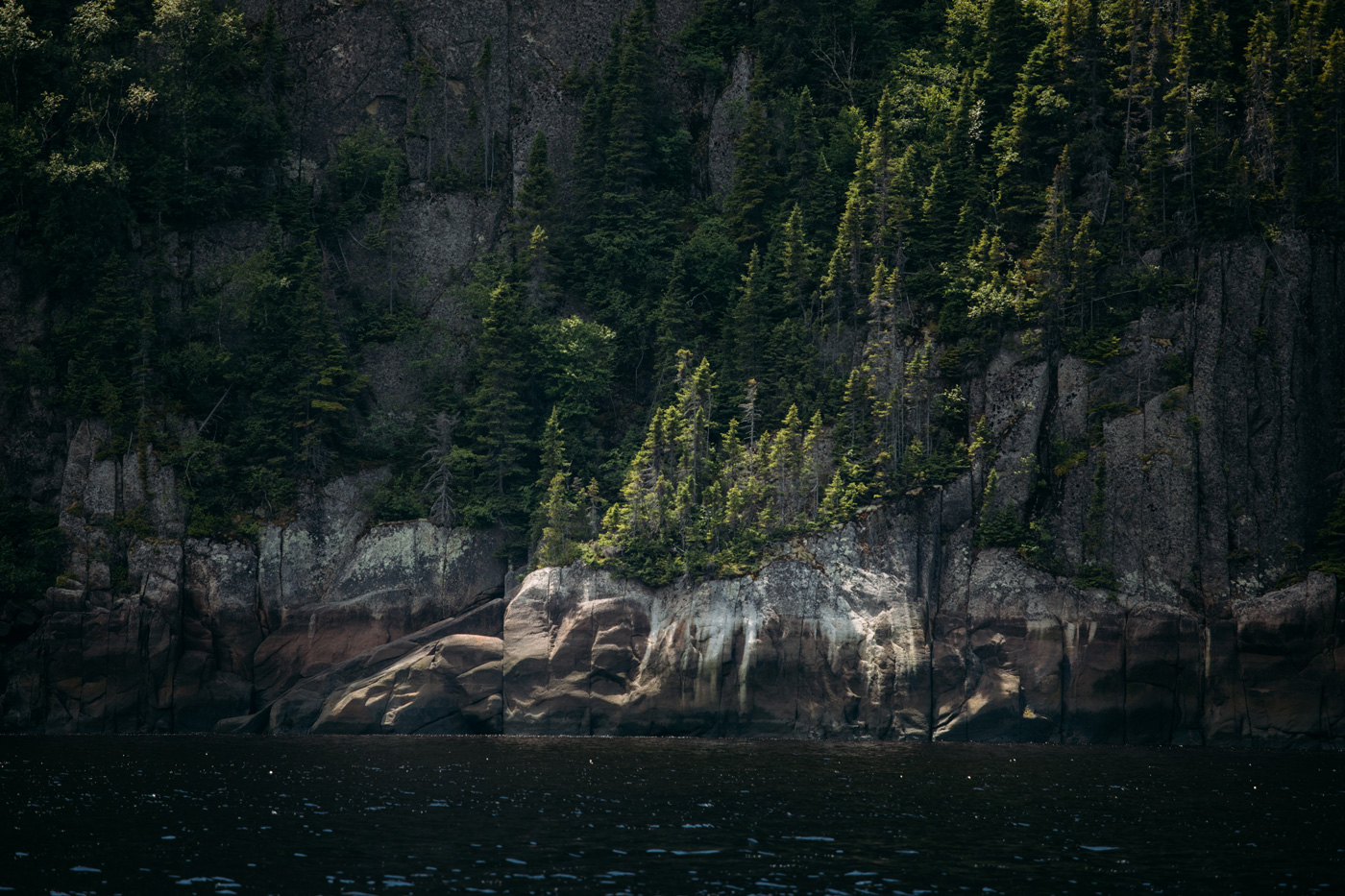 détail de roche du fjord du Saguenay