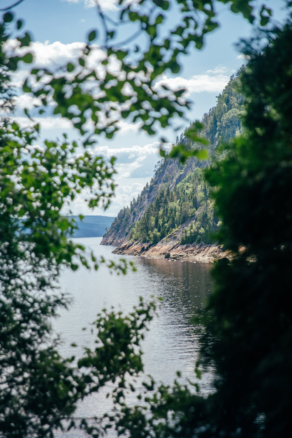 vue sur le fjord du Saguenay depuis Sainte-Rose-du-Nord