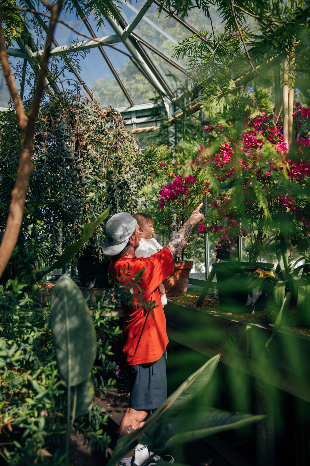 intérieur des serres du jardin botanique de Liège