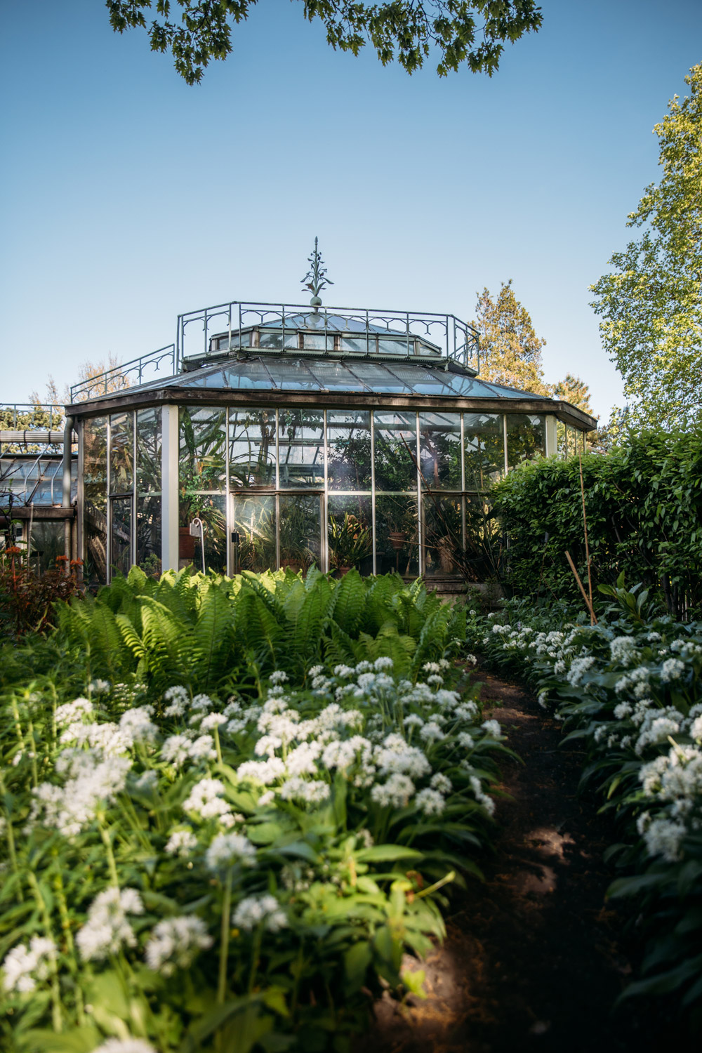 visiter le jardin botanique de Liège