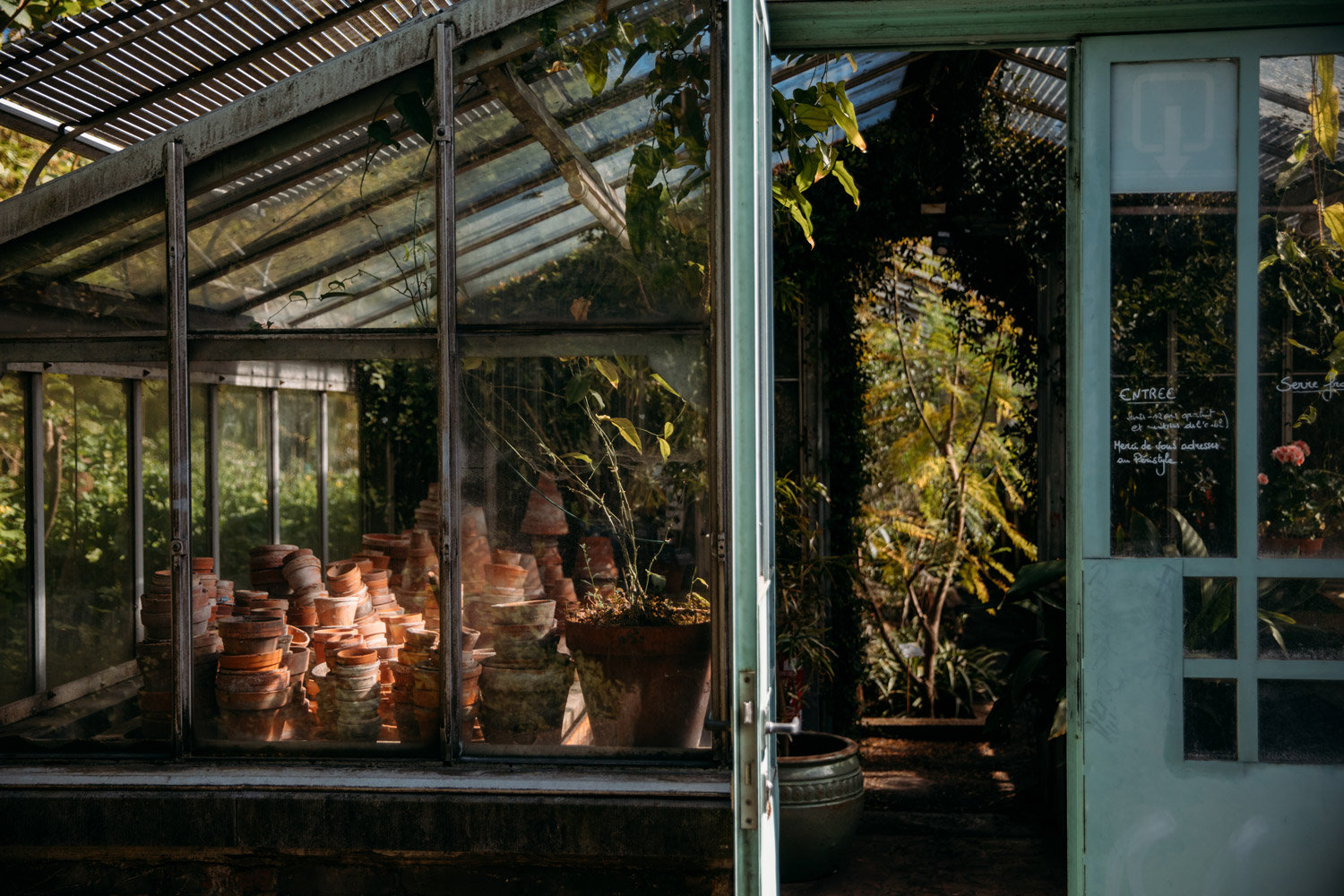 balade au jardin botanique de Liège