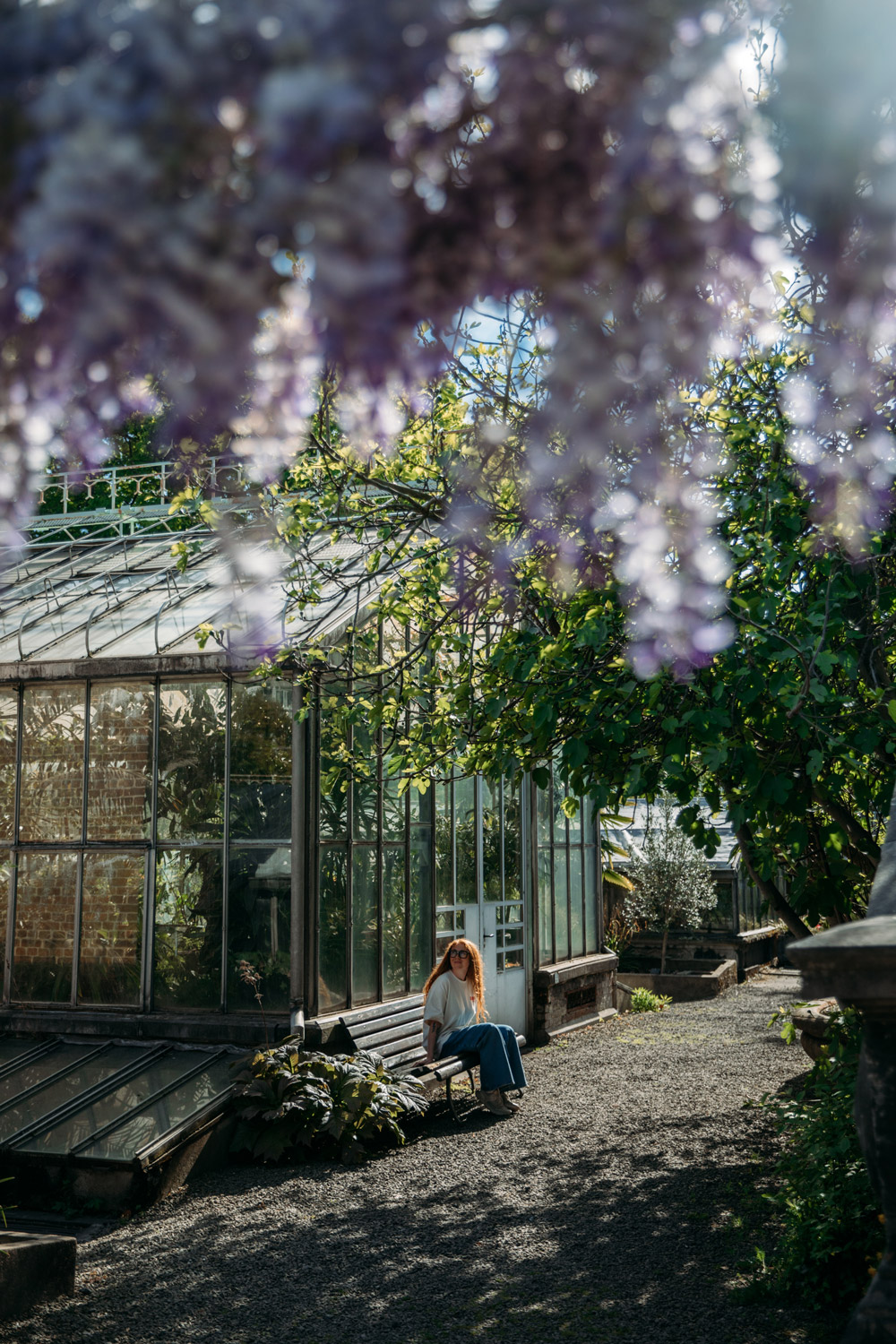 les serres du jardin botanique de Liège