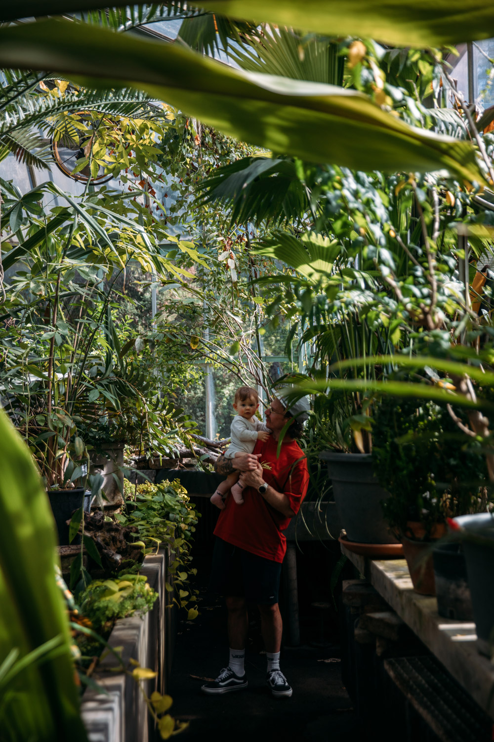 voir les serres botaniques de Liège