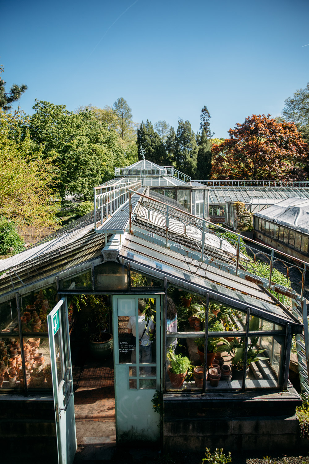 les serres du jardin botanique de Liège