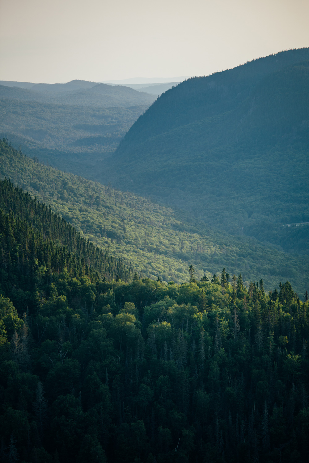 paysage foret parc national du fjord du SAguenay