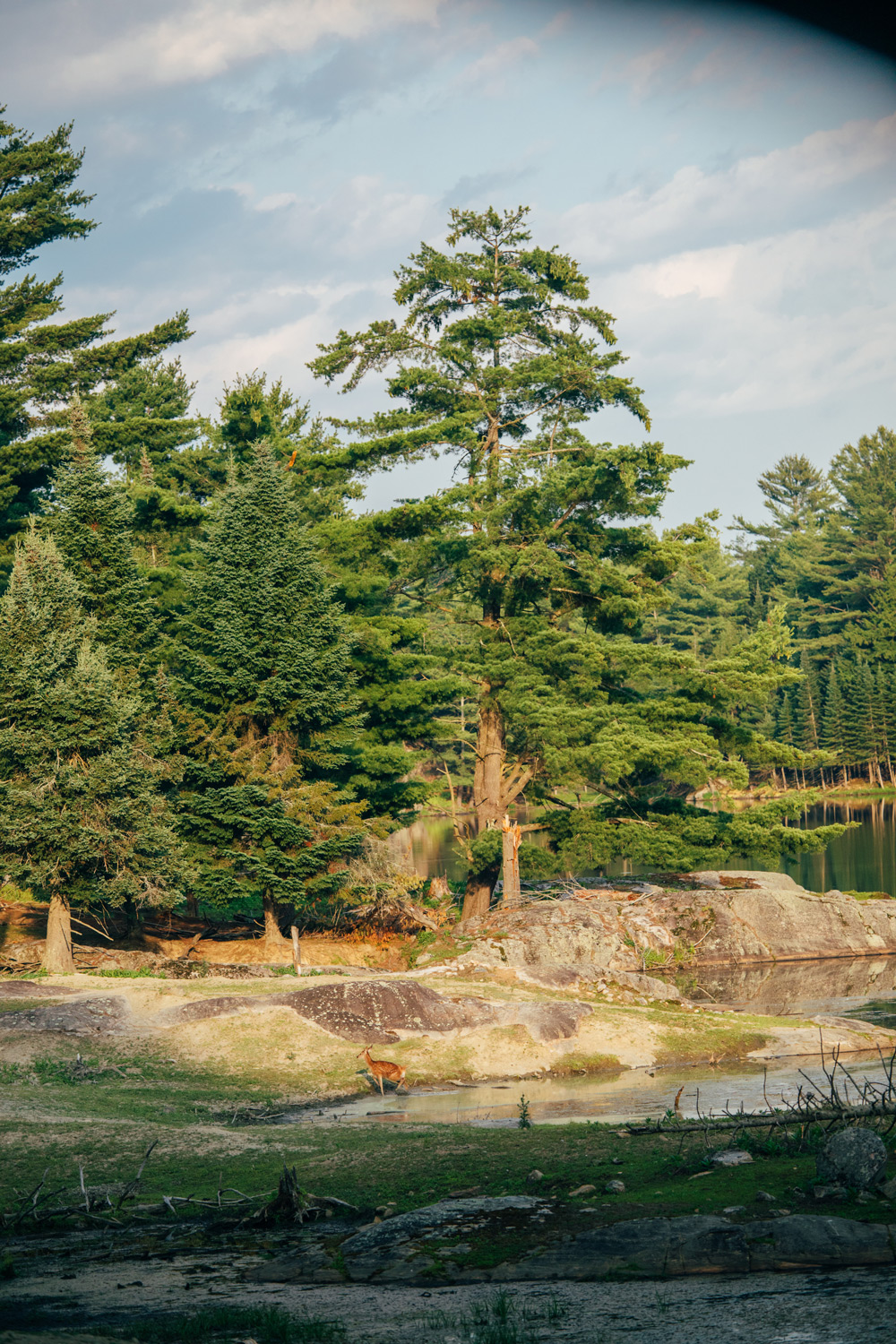 visiter le parc Oméga au Québec