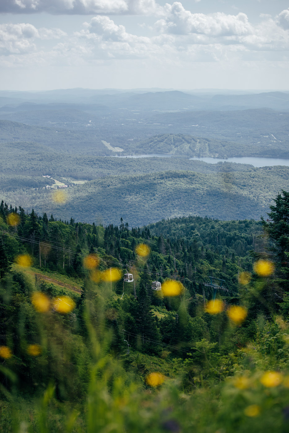 paysages d'été autour de Mont-Tremblant
