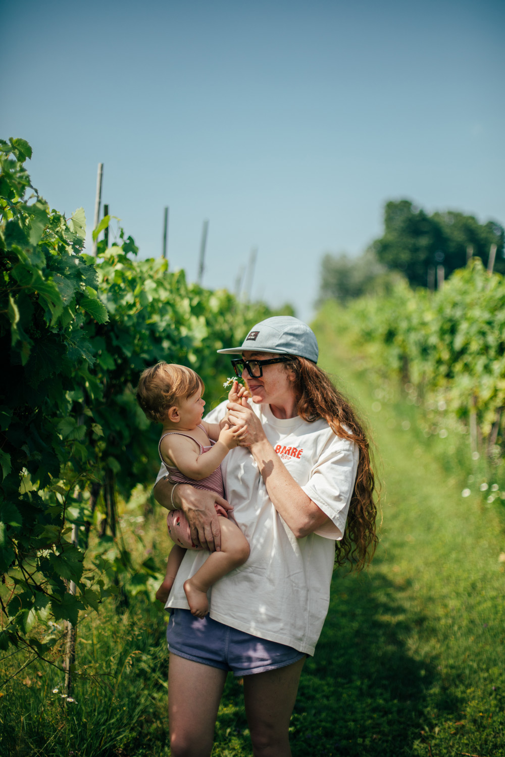 visite vignoble dans le Pontiac en Outaouais