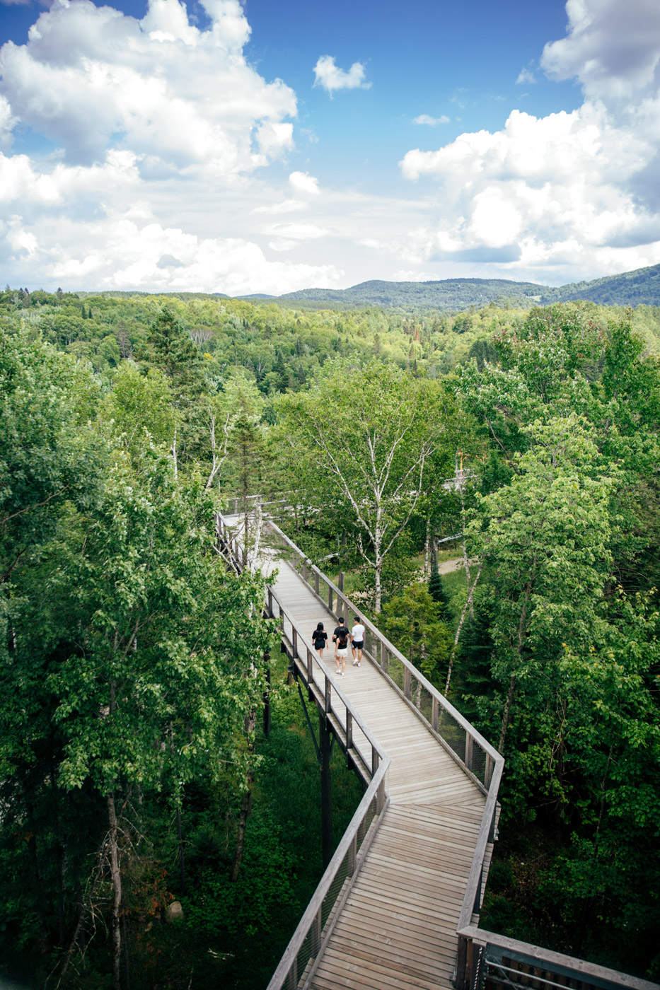 vue depuis la tour du sentier des cimes