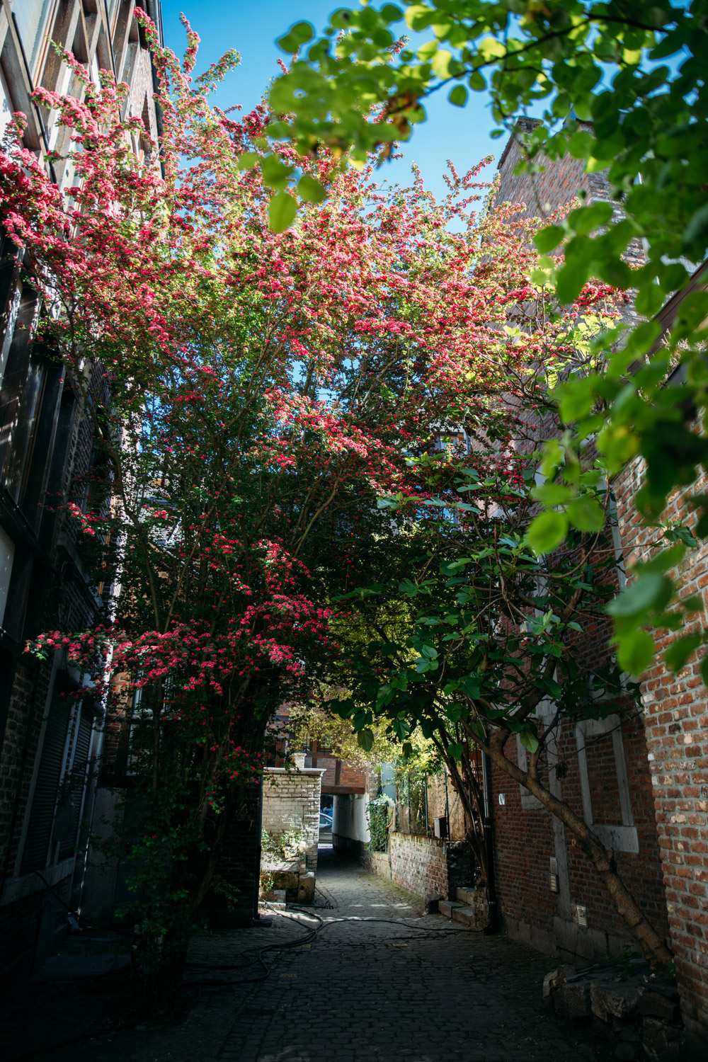 balade dans les impasses du quartier Hors-Chateau