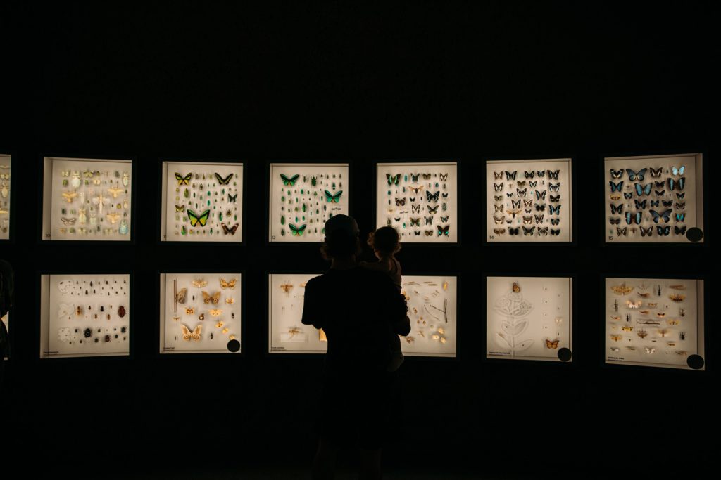 visiter l'insectarium de Montréal