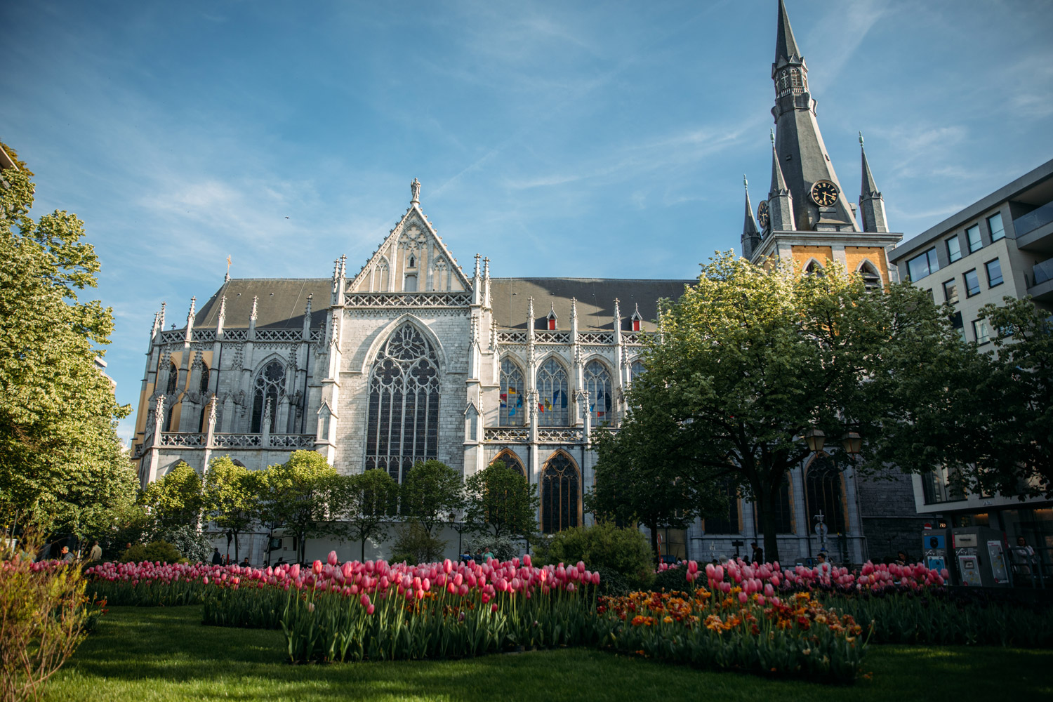 la Cathédrale Saint-Paul à Liège