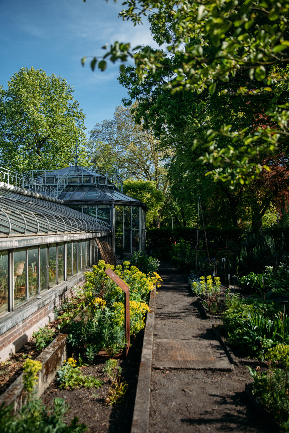les serres du jardin botanique de Liège