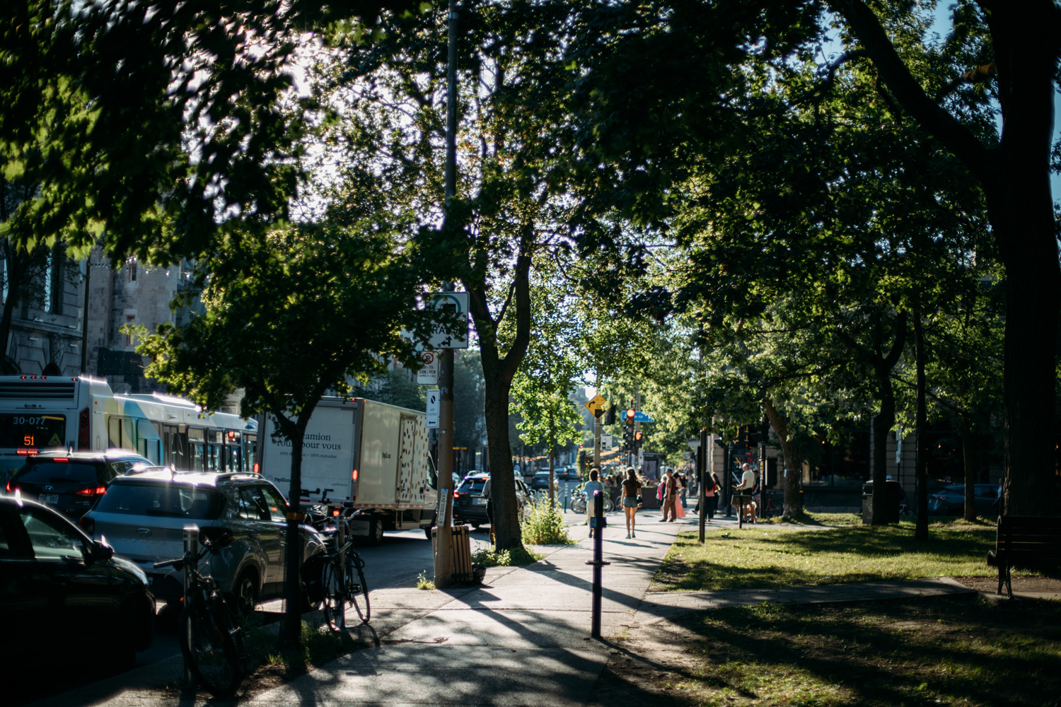 parc arboré sur le Plateau-Mont-Royal